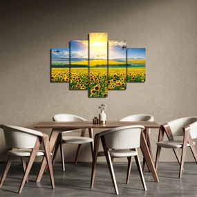 Tablou - Câmp cu floarea soarelui (150x105 cm)