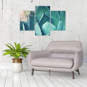 Tablou - Suculent (90x60 cm)