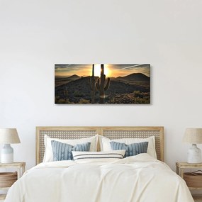 Tablou - cactușii la soare (120x50 cm)