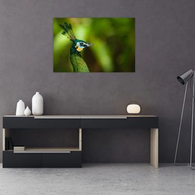 Tablou cu păun (90x60 cm)