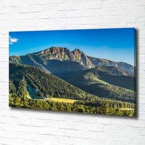Tablou pe pânză Panorama tatra