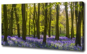 Tablouri tipărite pe pânză Primăvară pădure