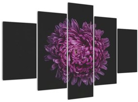 Tablou cu floare violetă (150x105 cm)