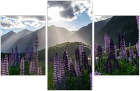 Tablou - scenariu cu flori de Lupin (90x60 cm)