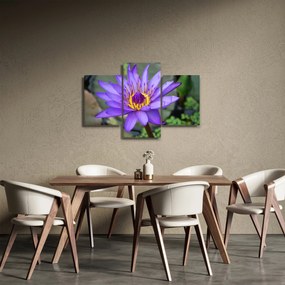 Tablou - Floare violet (90x60 cm)