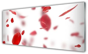 Tablou pe sticla Rose Petale Floral Roșu Alb