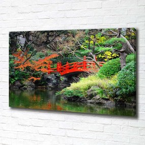 Tablou pe pânză canvas Grădină japoneză