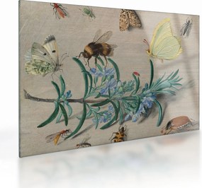Tablou pe sticlă - Jan van Kessel the Elder, Insects and a Sprig of Rosemary, reproducere (70x50 cm)