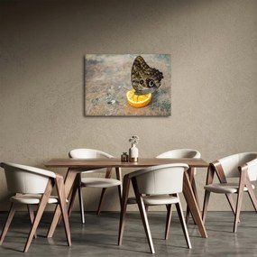 Tablou cu fluturi (70x50 cm)