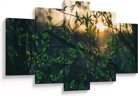 Tablou - Soarele strălucind printre crengile copacilor (150x105 cm)