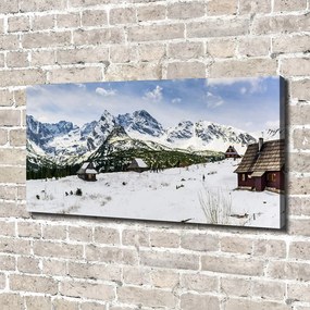 Pictură pe pânză Hale tatry