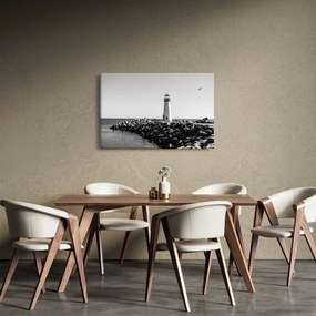 Tablou - Far de pe coastă, Santa Cruz, California (90x60 cm)