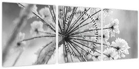 Tablou - Floare în timpul iernii (cu ceas) (90x30 cm)