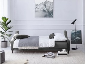Canapea extensibilă cu 3 locuri și spațiu de depozitare Mazzini Sofas Freesia, gri
