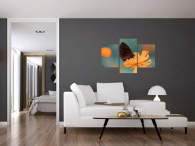 Tablou - fluture pe o floare portocalie (90x60 cm)