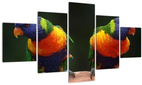 Tablou cu papagali (125x70 cm), în 40 de alte dimensiuni noi
