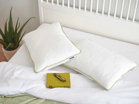 3xDORMEO perna clasica Aloe Vera 50X70 cm
