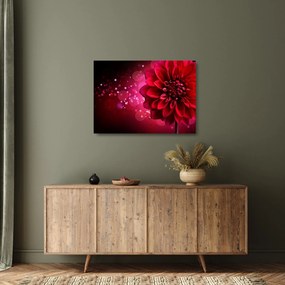 Tablou pe sticlă cu floare roșie (70x50 cm)