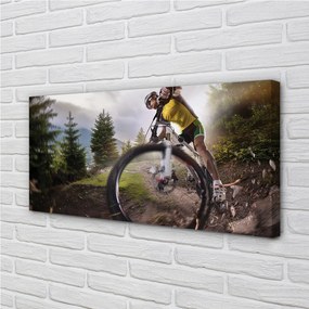 Tablouri canvas Cloud mountain bike