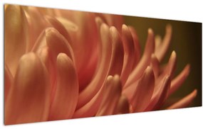 Tablou cu detailu florii (120x50 cm)