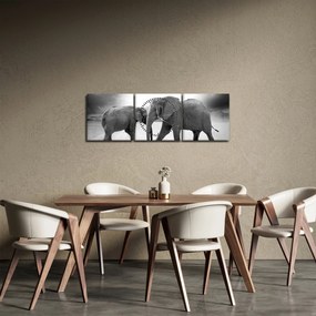 Tablou - eefanții alb negri (cu ceas) (90x30 cm)