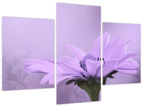 Tablou - Flori mov (90x60 cm)