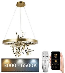 Lustră LED dimabilă pe cablu LED/40W/230V 3000-6500K auriu + telecomandă