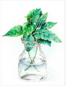 Pictura pe numere cu un cadru "planta într-o vază" 50x40 cm