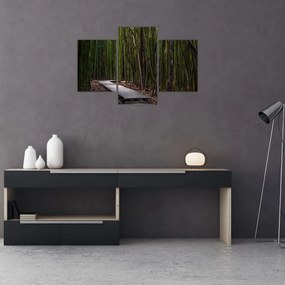 Tablou - Între bambus (90x60 cm)