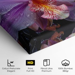 Tablou Canvas, 80x160cm, Dormitor si Living, Flori, Orhidee, Orchid In Rain
