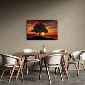 Tablou cu pomi și apus de soare (90x60 cm)