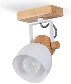 Aplică perete spot VIANA 1xE27/60W/230V