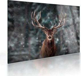 Tablou pe sticlă - Cerbul majestic (70x50 cm)