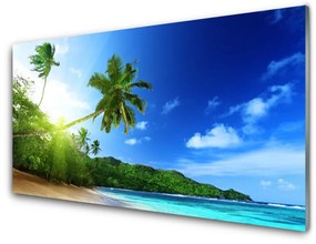 Tablouri acrilice Sea Palm Beach Peisaj Copaci Maro Verde Albastru