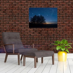 Tablou cu copaci noapte (70x50 cm)