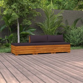 3087329 vidaXL Set mobilier de grădină cu perne, 3 piese, lemn masiv acacia
