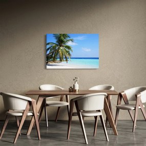 Tablou cu palmier pe plajă (90x60 cm)