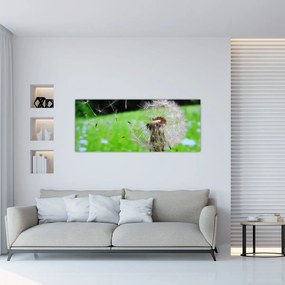 Tablou cu păpădie (120x50 cm), în 40 de alte dimensiuni noi