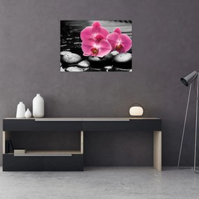 Tablou pe sticlă - Orhidee roz (70x50 cm)