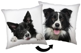 Câine Border Collie pernă decorativă 40x40 cm