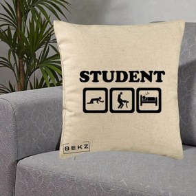 Perna Decorativa Student Life, 40x40 cm, Bej, Husa Detasabila, Perna Inclusa, BEKZ®
