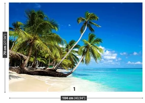 Fototapet Marea Caraibelor