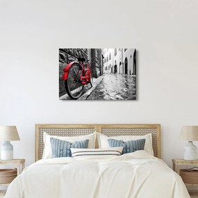 Tablou - Bicicleta roșie pe o stradă pavată (90x60 cm)