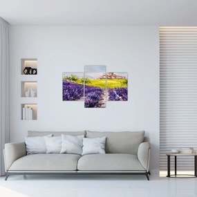 Tablou - Provence, Franța, pictură în ulei (90x60 cm)