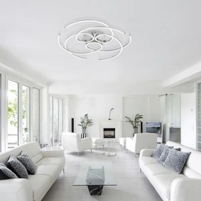 Paul Neuhaus 8165-55 - LED Plafonieră dimmabilă DANILO 3xLED/12W/230V