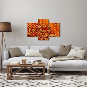 Tablou - Fagure de miere (90x60 cm)