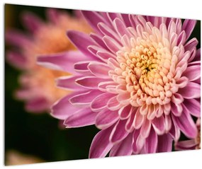 Tablou detailat cu flori (90x60 cm)