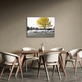 Tablou - relaxare în parc (70x50 cm)