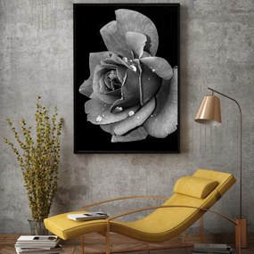 Poster - Floare de trandafir (A4)