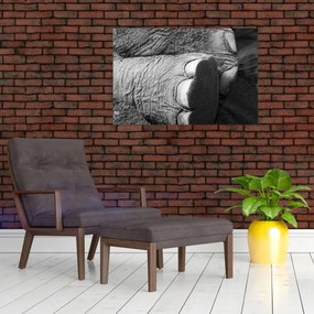 Tablou - Picior de elefant (90x60 cm)